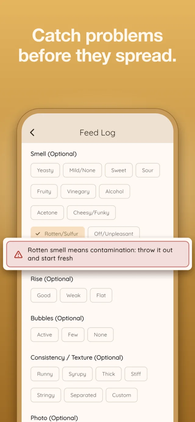 New to sourdough? Start here.