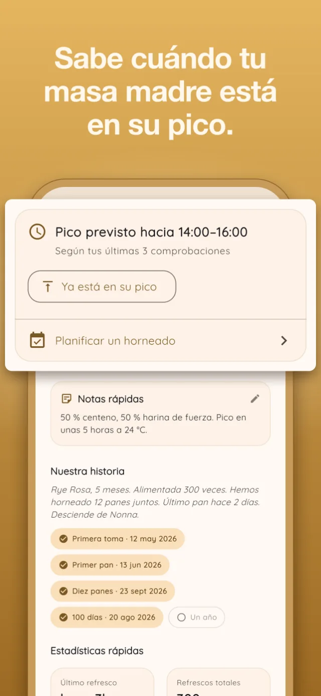 Detecta problemas antes de que avancen.