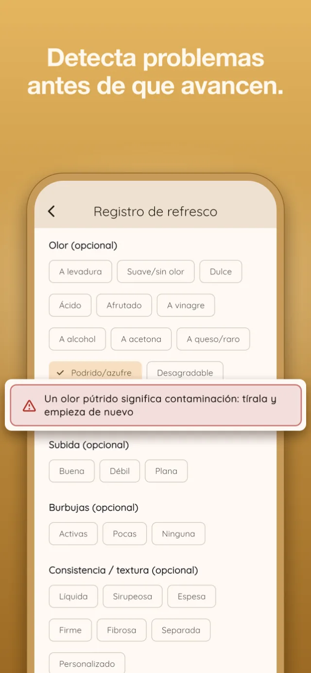¿Nueva en masa madre? Empieza aquí.