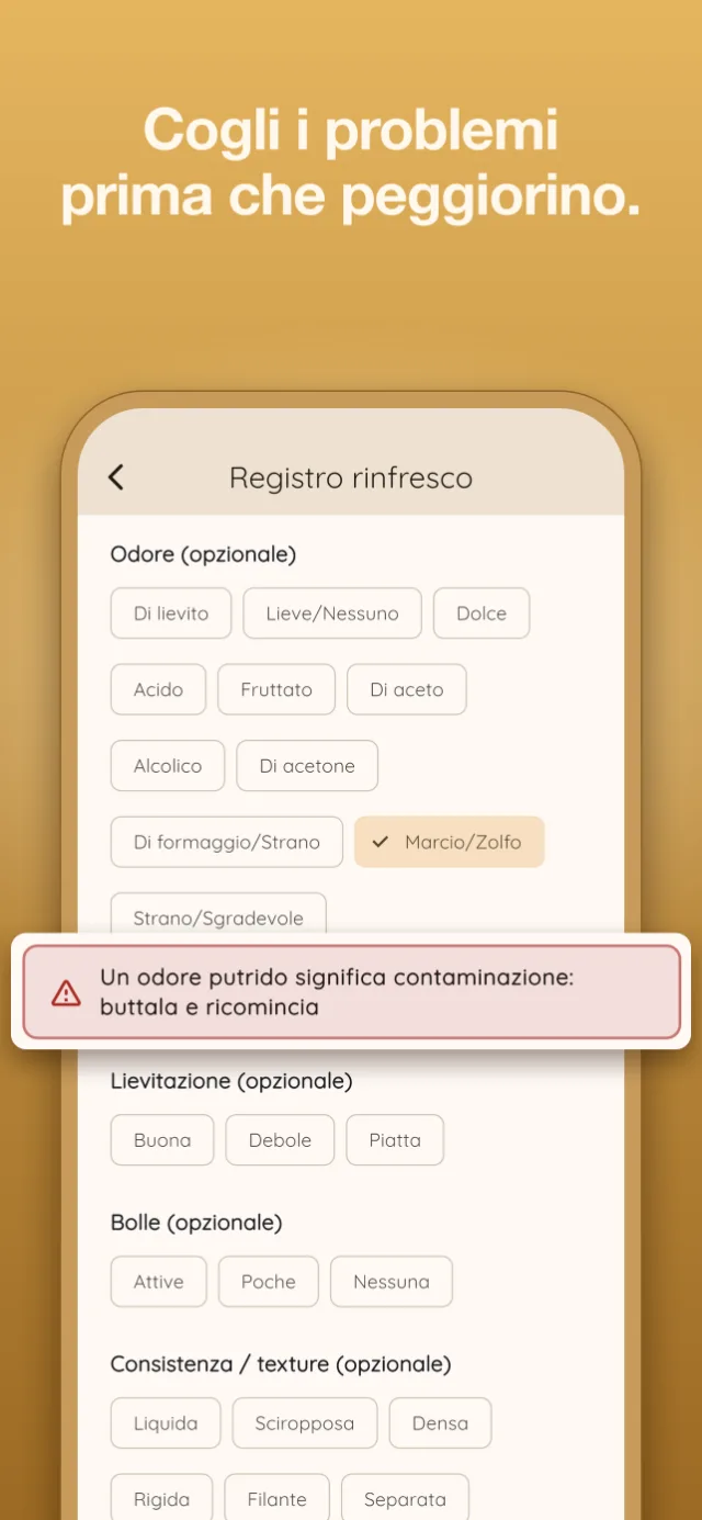 Nuovo al lievito madre? Inizia qui.
